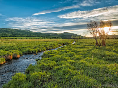 The Profiles PXT Select Assessment: How it Supports the Employee Lifecycle